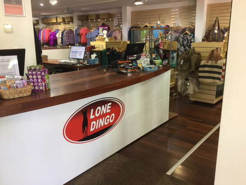 Lone Dingo - Tourism Cairns 3