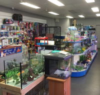 Nambour Pet Shop - Tourism Cairns