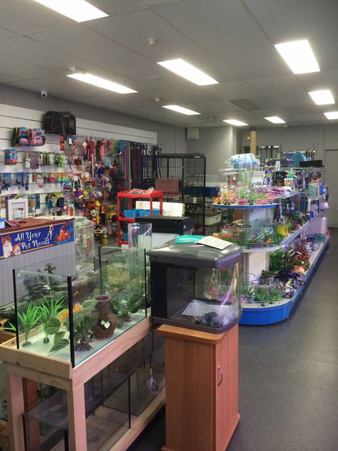 Nambour Pet Shop - Tourism Cairns 0