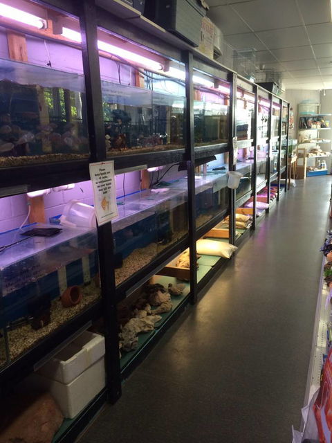 Nambour Pet Shop - Tourism Cairns 1