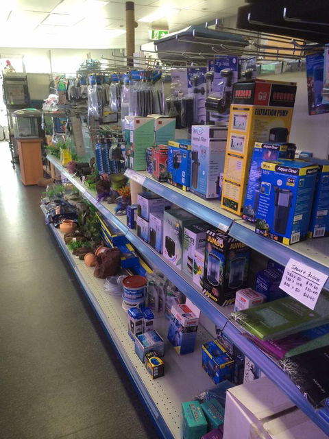 Nambour Pet Shop - Tourism Cairns 2
