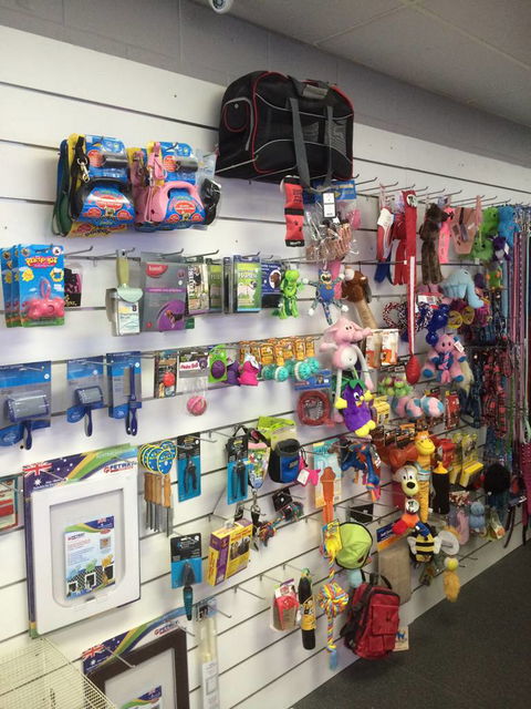 Nambour Pet Shop - Tourism Cairns 3