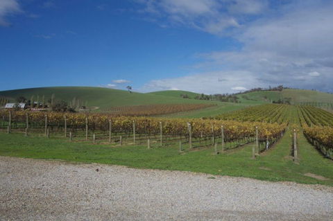 Wine Compass - Tourism Cairns 1