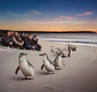 Down Under Thrills - Tourism Cairns