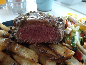 Airlie Beach Party Bus - Tourism Cairns 4