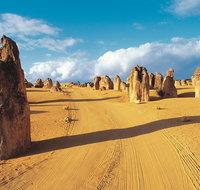 Pinnacles Desert Koalas and Sandboarding 4WD Day Tour from Perth - Tourism Cairns