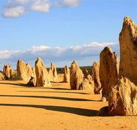 Pinnacles and Yanchep National Park Day Trip from Perth Including Lobster Shack Lunch and Sandboarding - Tourism Cairns