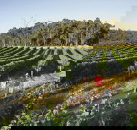 Margaret River Caves Wine and Cape Leeuwin Lighthouse Tour from Perth - Tourism Cairns