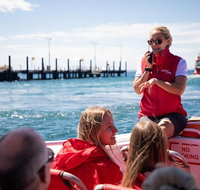 Rottnest Island Tour from Perth or Fremantle including Adventure Speed Boat Ride - Tourism Cairns