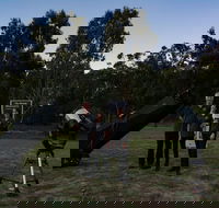 Stargazing Busselton with Mobile Observatory - Tourism Cairns