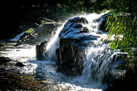 Margaret River Wine Adventure - The Tour For People Who Don\'t Do Tours! - Tourism Cairns 17