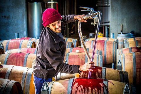 Margaret River Wine Adventure - The Tour For People Who Don\'t Do Tours! - Tourism Cairns 20