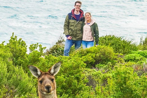 Margaret River Wine Adventure - The Tour For People Who Don\'t Do Tours! - Tourism Cairns 3