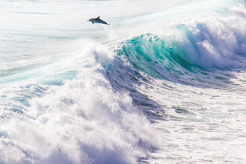 Margaret River Wine Adventure - The Tour For People Who Don\'t Do Tours! - Tourism Cairns 29