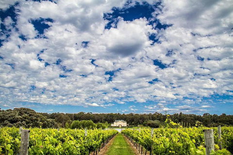 Margaret River Wine Adventure - The Tour For People Who Don\'t Do Tours! - Tourism Cairns 14