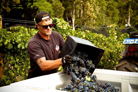 Margaret River Wine Adventure - The Tour For People Who Don\'t Do Tours! - Tourism Cairns 26