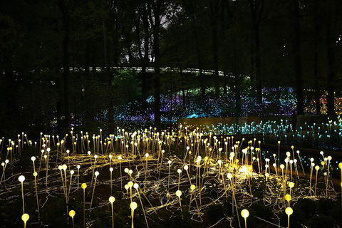 National Anzac Centre Field Of Light Panorama Pass - Tourism Cairns 0
