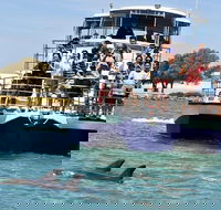 Mandurah Dolphin and Scenic Marine Cruise - Tourism Cairns