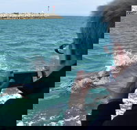 Mandurah Dolphin Island Adventure - Tourism Cairns