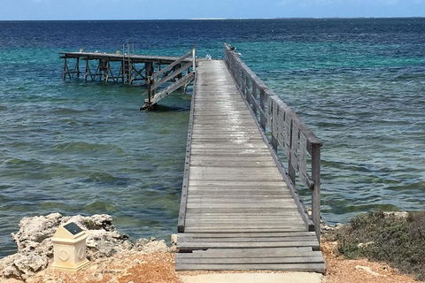 Abrolhos Flyover With Morning Tea On East Wallaby Island - Tourism Cairns 1