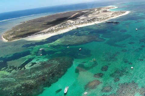Abrolhos Flyover With Morning Tea On East Wallaby Island - Tourism Cairns 0