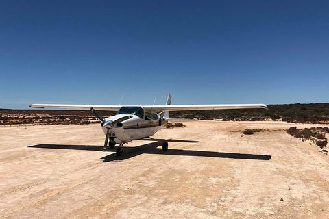 Kalbarri Gorges & West Coast - Ground & Air Tour - Tourism Cairns 6