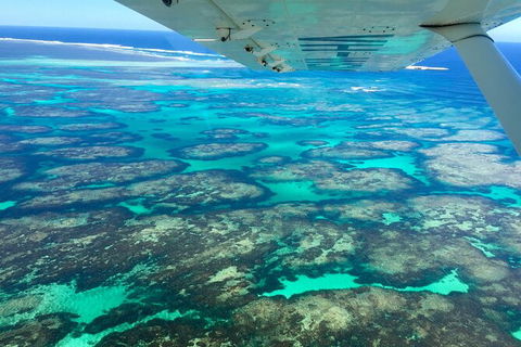 Kalbarri, Pink Lake And Abrolhos Islands Nature Tour - Tourism Cairns 5