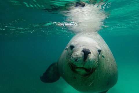 SAILING CHARTER TO CARNAC ISLAND - Tourism Cairns 1