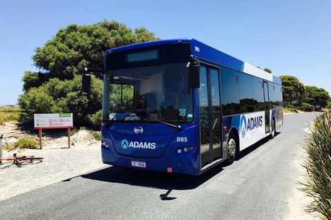 Rottnest Island Bayseeker Day Trip From Perth With Transfer - Tourism Cairns 0