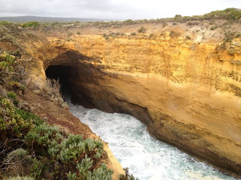 Private Tour: Great Ocean Road From Melbourne - Tourism Cairns 3