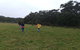 Private Tour: Great Ocean Road From Melbourne - thumb 17