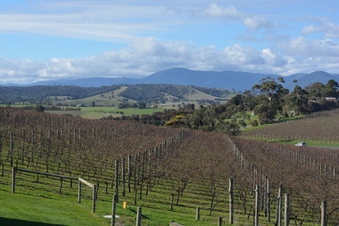 2-Day Yarra Valley Wine Tour With Luxury Vineyard Resort Stay - Tourism Cairns 2