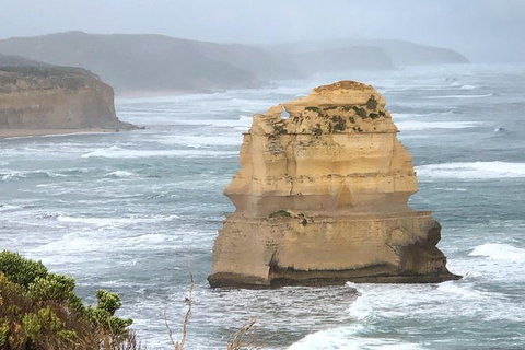 Great Ocean Road Private Tour - Tourism Cairns 4