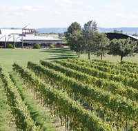 Puffing Billy Train and Yarra Valley Food and Wine Day Trip from Melbourne - Tourism Cairns