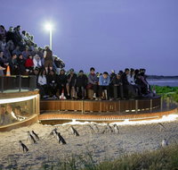 Small-Group Phillip Island Day Trip from Melbourne with Penguin Plus Viewing - Tourism Cairns