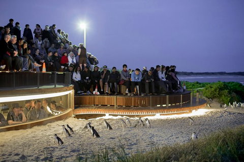 Small-Group Phillip Island Day Trip From Melbourne With Penguin Plus Viewing - Tourism Cairns 0
