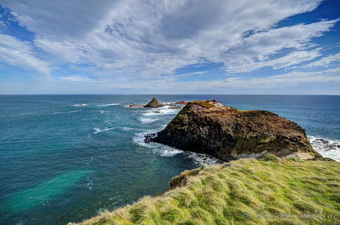 Small-Group Phillip Island Day Trip From Melbourne With Penguin Plus Viewing - Tourism Cairns 6