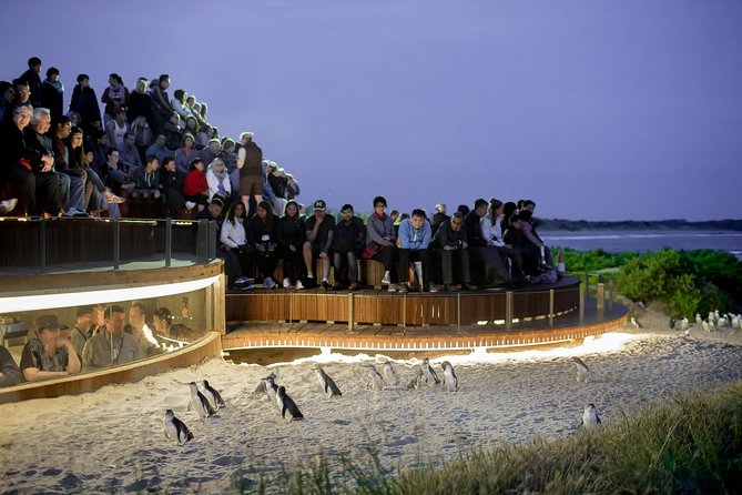 Phillip Island VIC Tourism Cairns