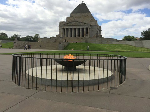 Half-Day Or Full-Day Tour With Private Guide From Melbourne - Tourism Cairns 4