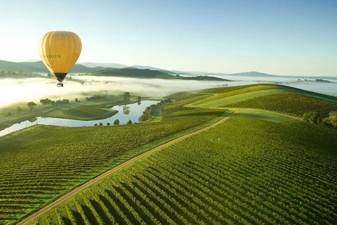 Half-Day Or Full-Day Tour With Private Guide From Melbourne - Tourism Cairns 7