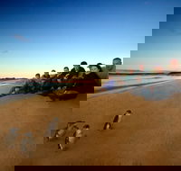 Phillip Island Ultimate Penguin Eco Tour or Skybox Experience - Tourism Cairns