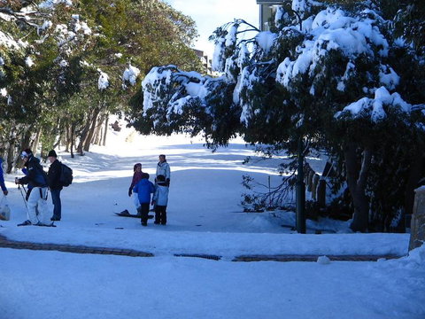 Mt. Buller Ski Tour From Melbourne - Tourism Cairns 18