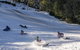 Mt. Buller Ski Tour From Melbourne - thumb 1