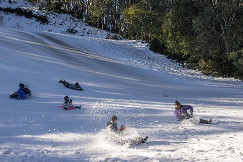 Mt. Buller Ski Tour From Melbourne - Tourism Cairns 1