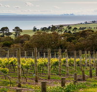 Bellarine Peninsula Small Group Wine Tour with 2 Course Lunch and Morning Tea
