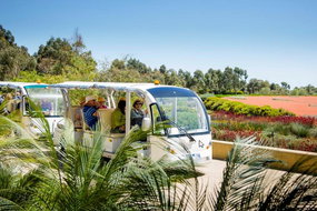 Book Melbourne VIC Attractions Tourism Cairns Tourism Cairns