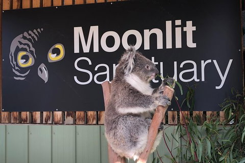 Small-Group Phillip Island Day Trip From Melbourne - Tourism Cairns 7