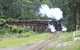 Puffing Billy (Dandenong Ranges & Brighton Bathing Boxes ) Experience - thumb 2