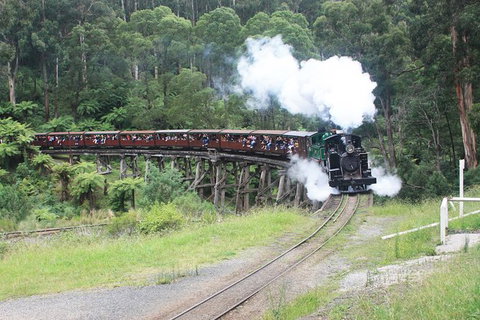 Puffing Billy (Dandenong Ranges & Brighton Bathing Boxes ) Experience - Tourism Cairns 2