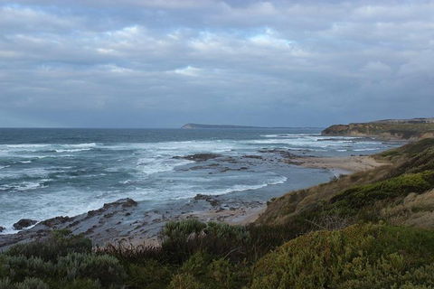 Wilsons Promontory Day Trip From Phillip Island - Tourism Cairns 1